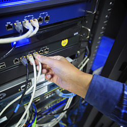 Additional Commercial Network Services
